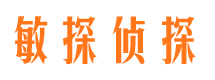 金城江市私家侦探